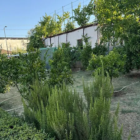 Quiet Room, Close To Airport *